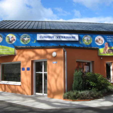 CLINIQUE VETERINAIRE DE LA FONTAINE, Établissement vétérinaire à Guémené-Penfao