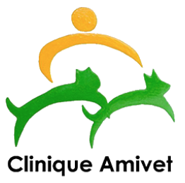 CLINIQUE VETERINAIRE AMIVET, Établissement vétérinaire à Paris 16ème