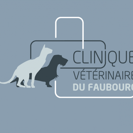 Clinique vétérinaire du Faubourg, Établissement vétérinaire à Paris 10ème