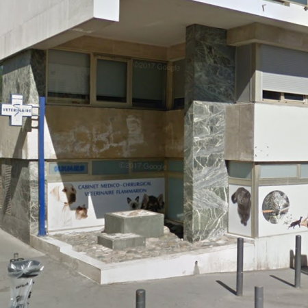 CABINET VÉTÉRINAIRE FLAMMARION, Établissement vétérinaire à Marseille 1er
