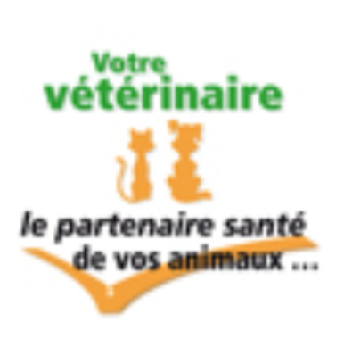 CLINIQUE VÉTÉRINAIRE TELLENE, Établissement vétérinaire à Marseille 7ème