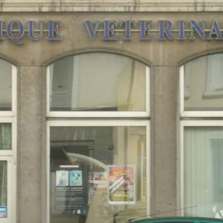 Clinique Vétérinaire Bellecour, Établissement vétérinaire à Lyon 2ème
