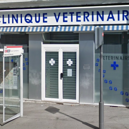 Cabinet vétérinaire du Dr MEYER, Établissement vétérinaire à Lyon 3ème