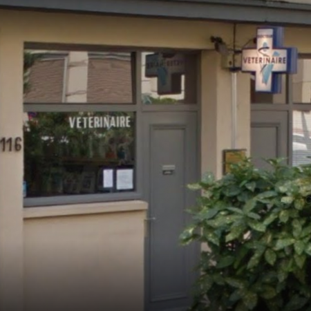 Clinique Vétérinaire des Brotteaux, Établissement vétérinaire à Lyon 6ème