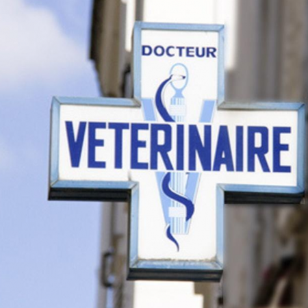 Cabinet Veterinaire du dr Forsans, Établissement vétérinaire à Lyon 7ème
