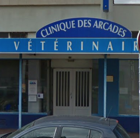 NOWAK EDWIGE, Établissement vétérinaire à Lille