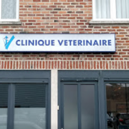 BOUDEAU ELODIE, Établissement vétérinaire à Lille 59800