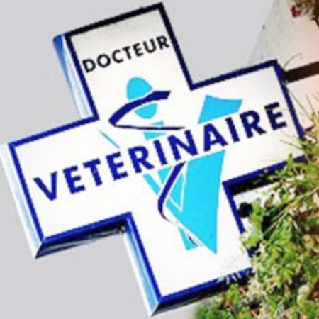 Cabinet vétérinaire du Dr Brun, Établissement vétérinaire à BORDEAUX