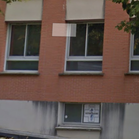 CLINIQUE VÉTÉRINAIRE DE LA TERRASSE, Établissement vétérinaire à Toulouse 31500