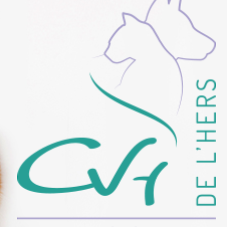 SELARL VETERINAIRE DE L HERS, Établissement vétérinaire à Toulouse 31500