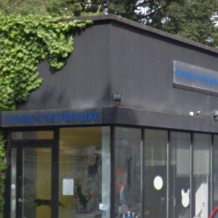 SELARL JEAN-LUC SUIRE, Établissement vétérinaire à Nantes 44300