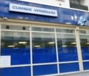 Clinique vétérinaire des Docteurs Leloup et Stylianidis, Établissement vétérinaire à Paris 15ème