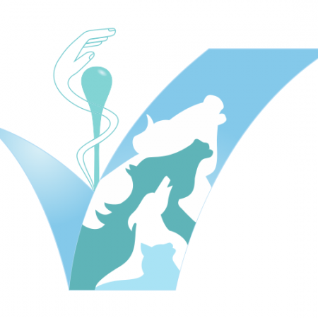 KINISEÏSVET Médecine manuelle vétérinaire (ostéopathie), Homéopathie, Phytothérapie, Établissement vétérinaire à Ribérac
