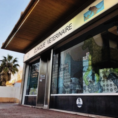 Clinique Veterinaire Saint Barnabe, Établissement vétérinaire à Marseille 12ème