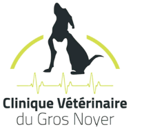 Clinique Vétérinaire du Gros Noyer, Établissement vétérinaire à Saint-Prix