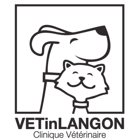 VETinLANGON, Établissement vétérinaire à Langon