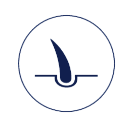 CHV FREGIS - Service dermatologie, Établissement vétérinaire à Arcueil