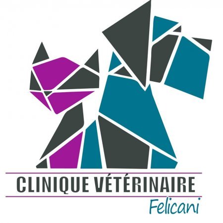 CLINIQUE VÉTÉRINAIRE FELICANI, Établissement vétérinaire à Carling