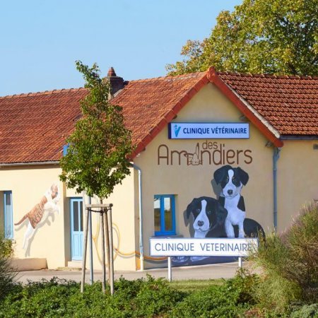 Clinique vétérinaire des Amandiers, Établissement vétérinaire à Beaune