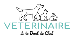 Clinique Vétérinaire de la dent du Chat, Établissement vétérinaire à Aix-les-Bains