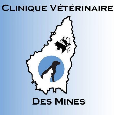 Clinique vétérinaire des Mines, Établissement vétérinaire à Saint-Priest