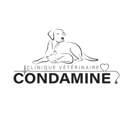 Clinique vétérinaire de la Condamine, Établissement vétérinaire à Crest