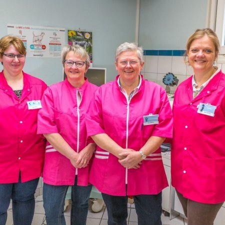 Clinique Vétérinaire Saint Acheul, Établissement vétérinaire à Amiens 80090