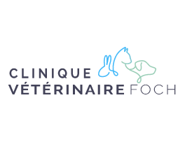 Clinique vétérinaire Foch, Établissement vétérinaire à Béziers