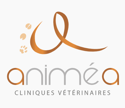 CLINIQUES VETERINAIRES ANIMEA - LA CAILLETTE - LA ROCHE SUR YON, Établissement vétérinaire à La Roche-sur-Yon