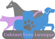Cabinet Vétérinaire VETO LAROQUE, Établissement vétérinaire à Laroque-Timbaut