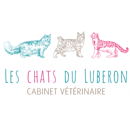 Les chats du Luberon, Établissement vétérinaire à Cavaillon