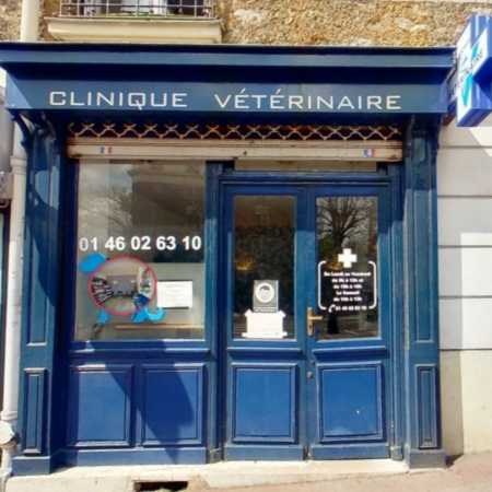 Cabinet vétérinaire Saint Cloud, Établissement vétérinaire à Saint-Cloud