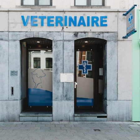 Cabinet vétérinaire Dr Lecomte Aurélie, Établissement vétérinaire à Binche