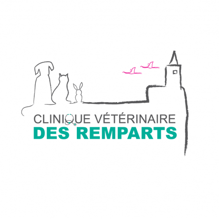 Clinique vétérinaire des Remparts, Établissement vétérinaire à Aigues-Mortes