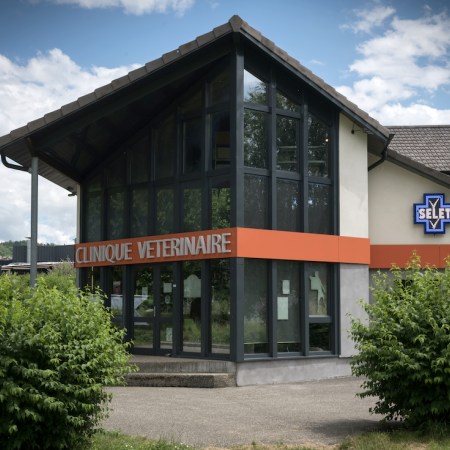 Clinique vétérinaire de l'Oiselet, Établissement vétérinaire à Bourgoin-Jallieu