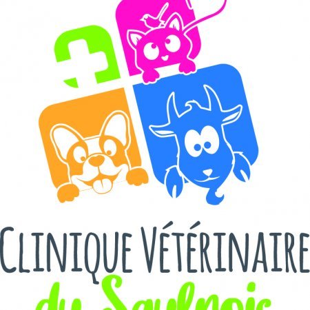 Clinique vétérinaire du Saulnois, Établissement vétérinaire à Delme