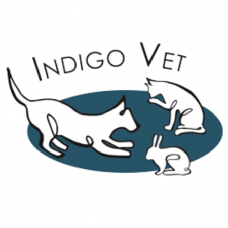 INDIGO VET Sainte Hélène, Établissement vétérinaire à Sainte-Hélène