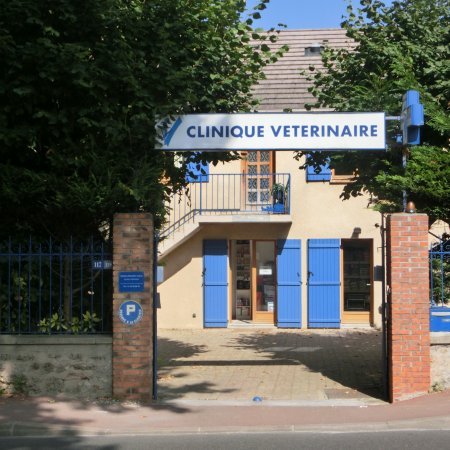 Dr Clinique VetAnimal Clinique VetAnimal