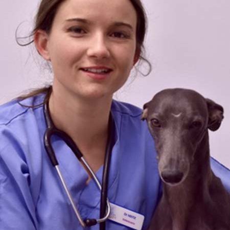 Dr Laura HEITZ