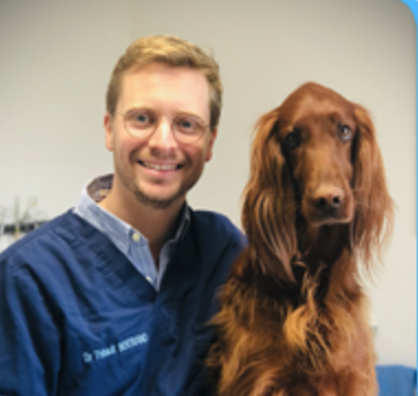Dr Thibault BERTRAND