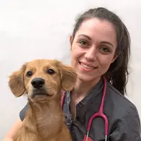 Dr  MASIERO
