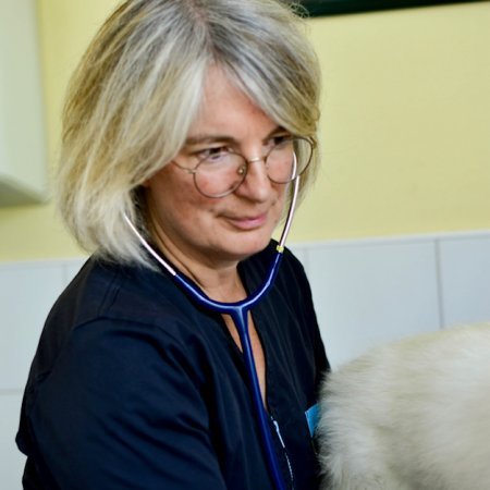Dr Anne DALLOT
